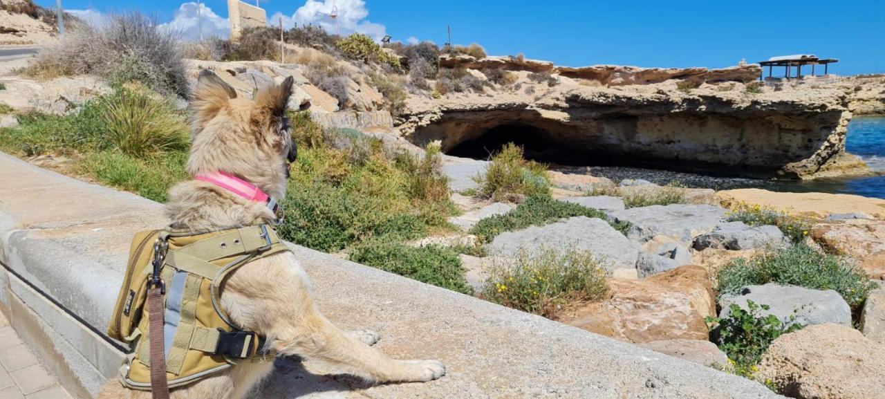 La Guarida Rustica Del Zorro Leilighet Jijona Eksteriør bilde